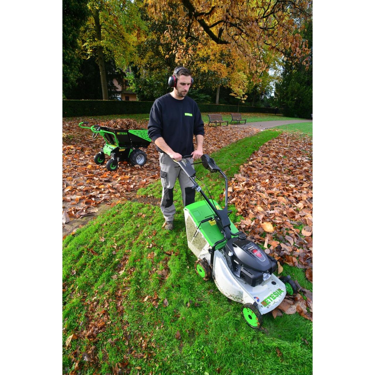 Benzin-Rasenmäher Pro 46 PHE3