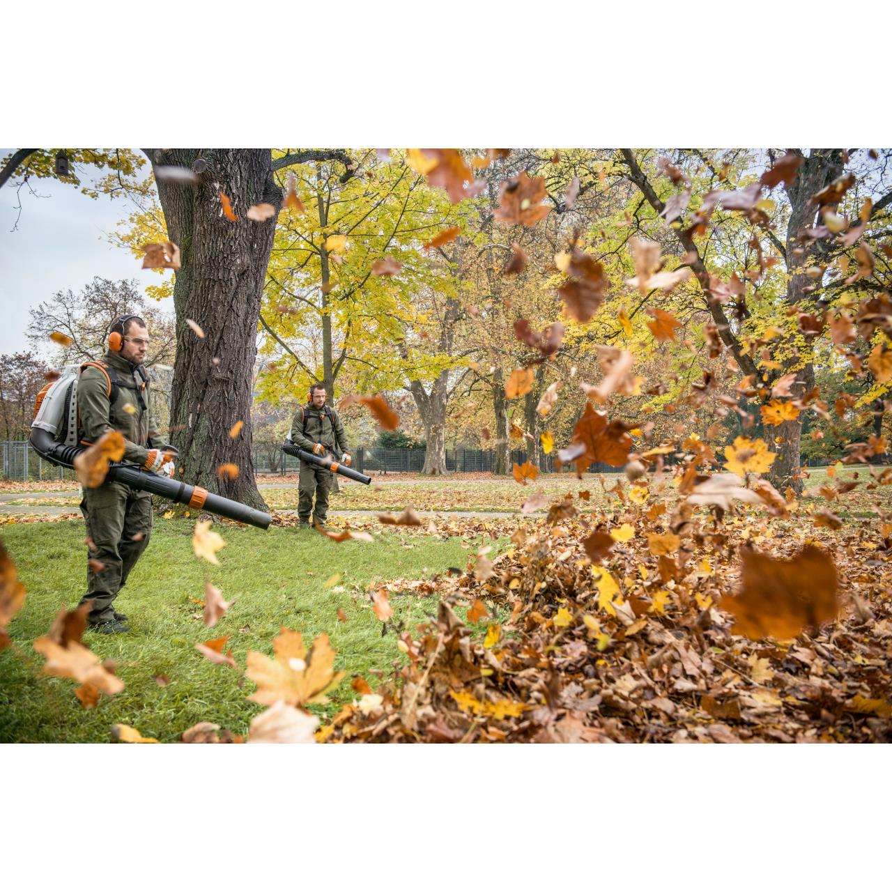 Laubbläser BR 800 C-E